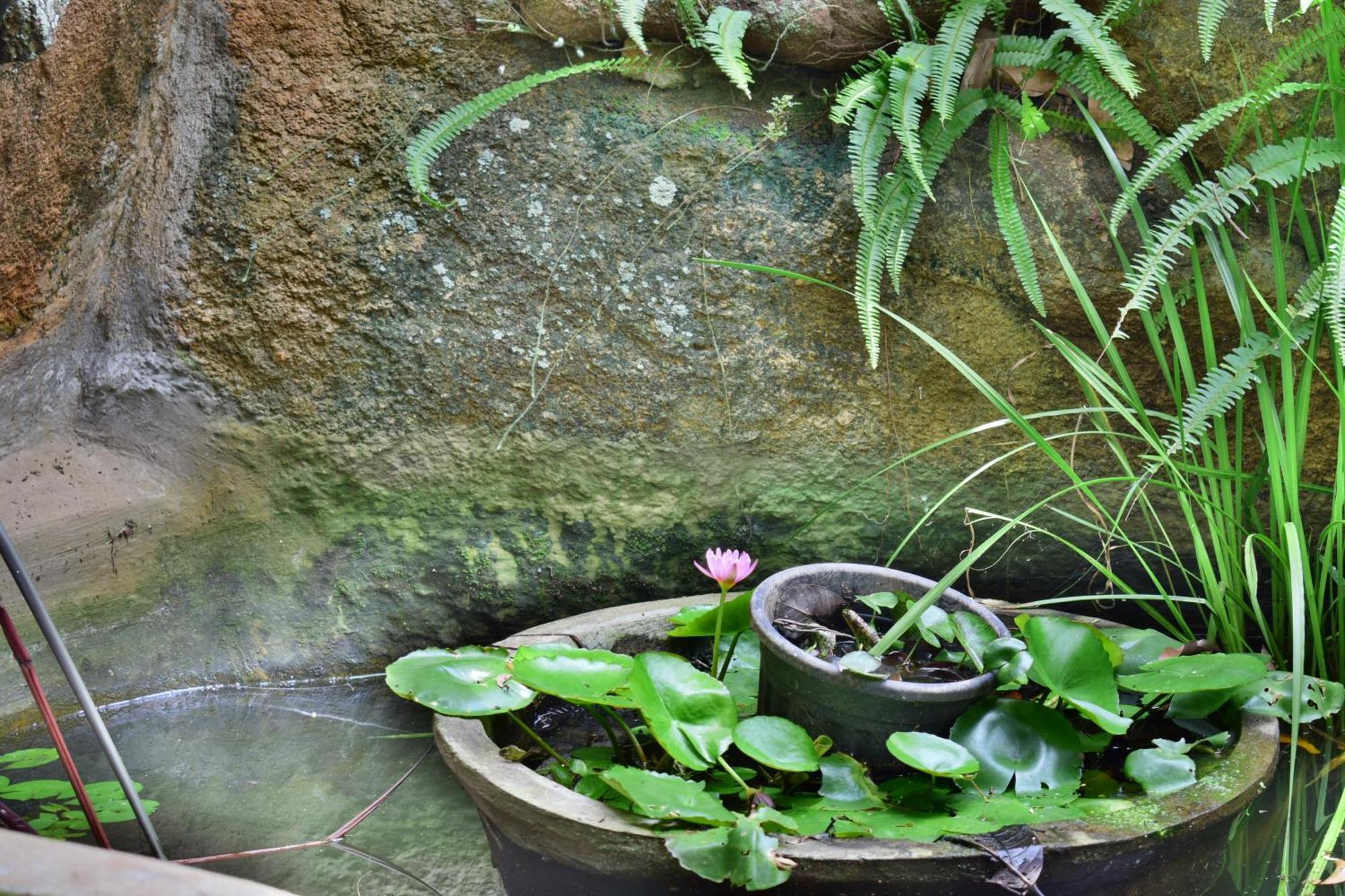 Silent Waters Resorts 耶拉吉里 外观 照片